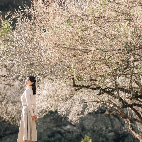 du-lịch-mộc-châu-ảnh-đẹp