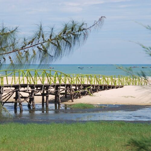 Kinh Nghiệm Du Lịch Hồ Tràm 8