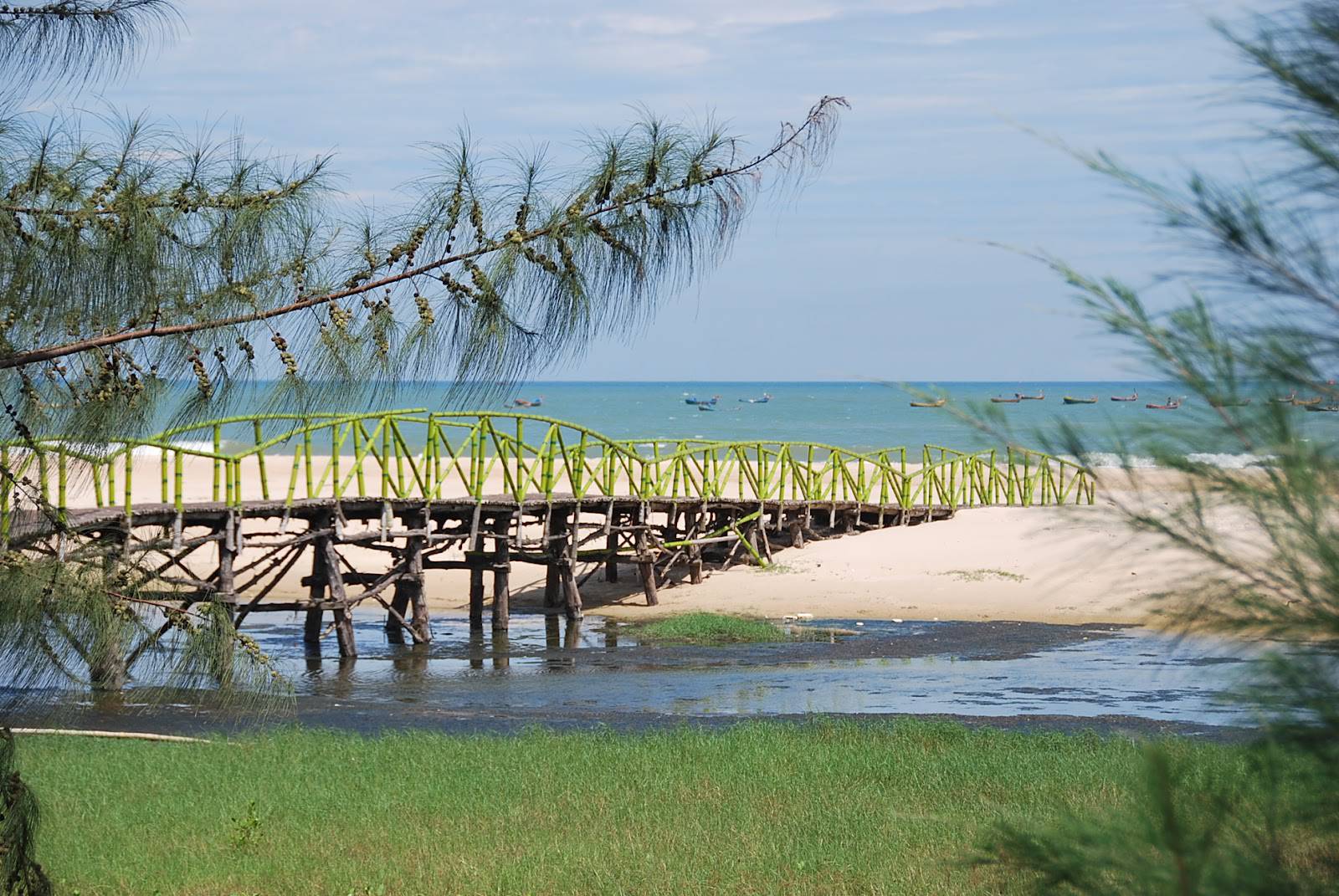 Kinh Nghiệm Du Lịch Hồ Tràm 8