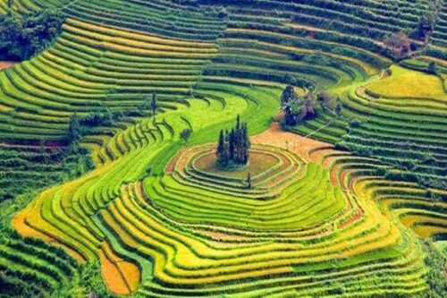 Mộc Châu Sơn La